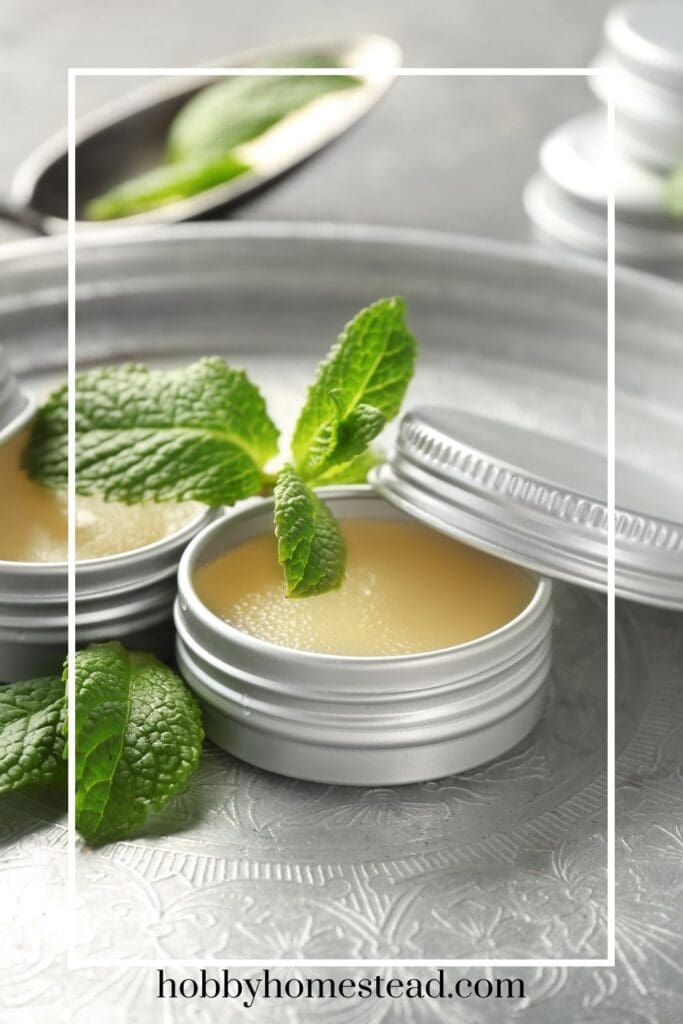 Homemade comfrey ointment in tins