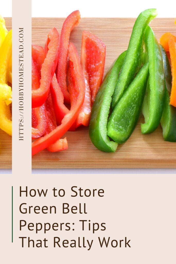 How to Store Green Bell Peppers Tips That Really Work
