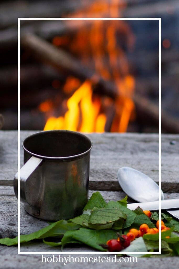 Outdoor survival