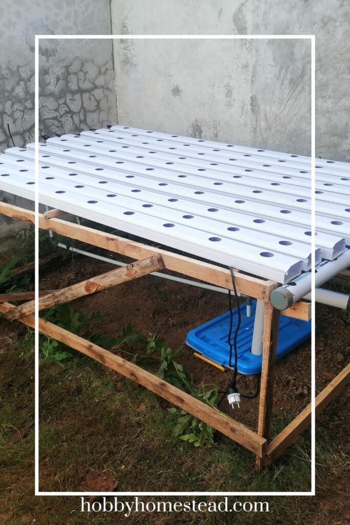 Personal Hydroponic Growing System