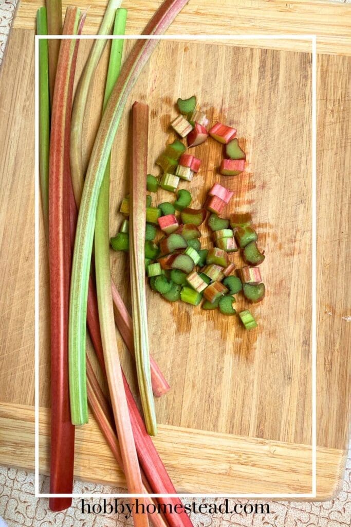 Prepping Rhubarb for Freezing