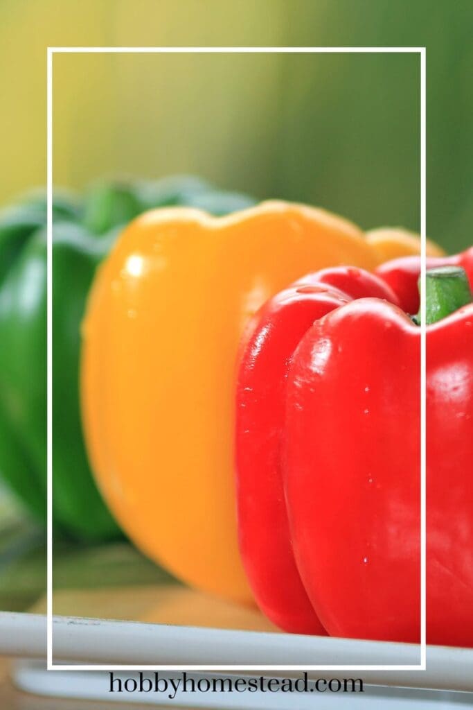 Red, yellow, and green pepper