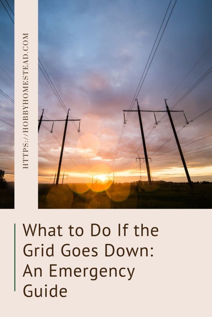What to Do If the Grid Goes Down An Emergency Guide