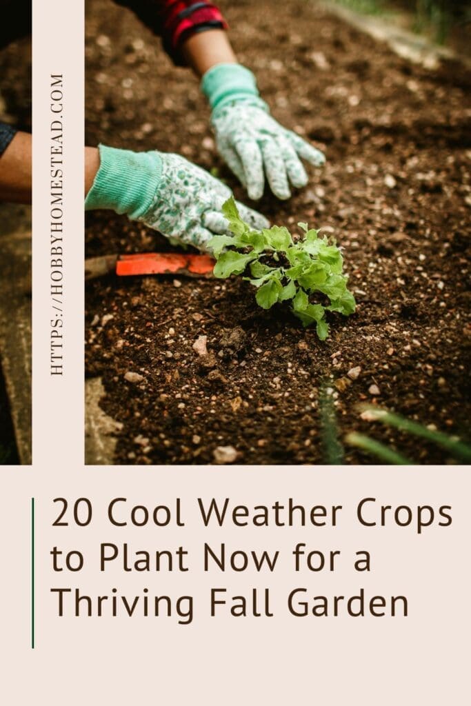 20 Cool Weather Crops to Plant Now for a Thriving Fall Garden