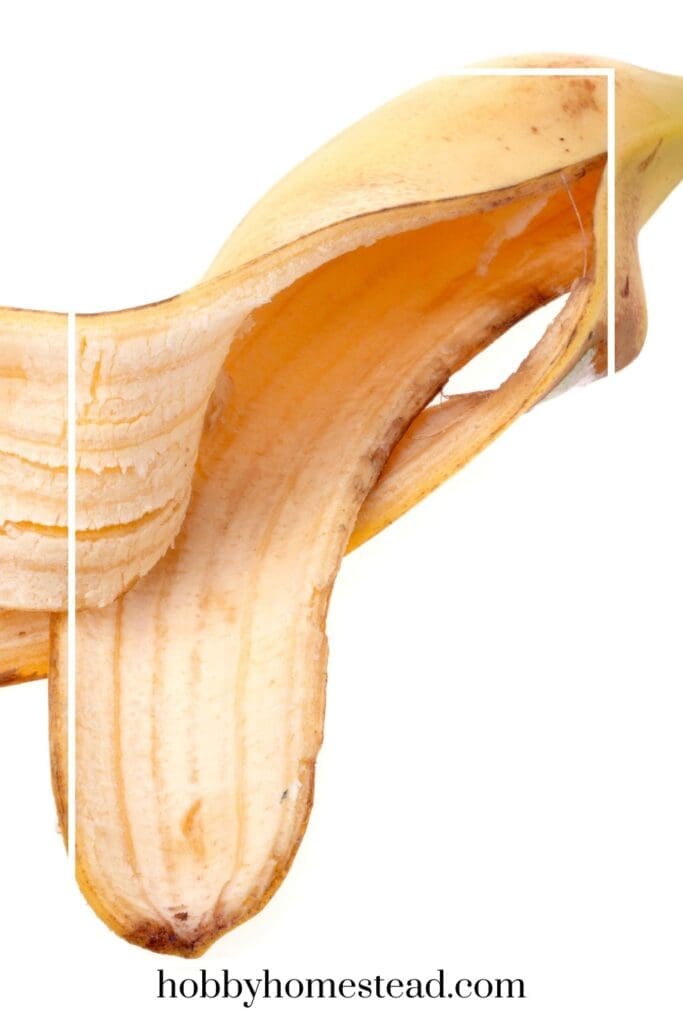 Banana Peel