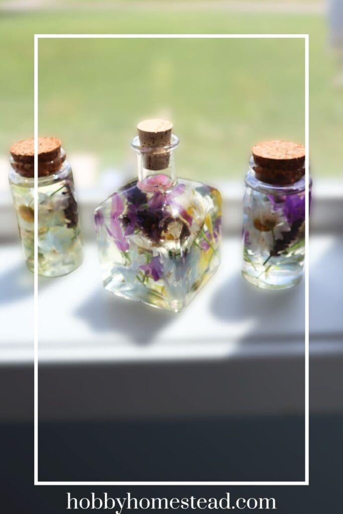Beautiful Fresh Flowers Preserved in Bottles