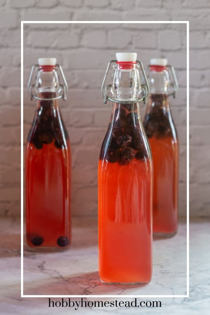 Blueberry kombucha in swing top bottles