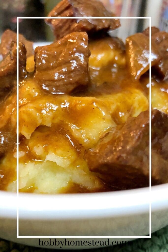 Bowl piled high with mashed potatoes tender beef and gravy