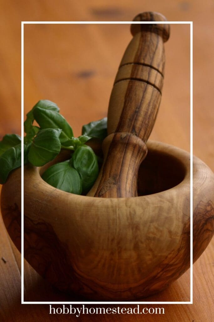 Crush Basil Leaf