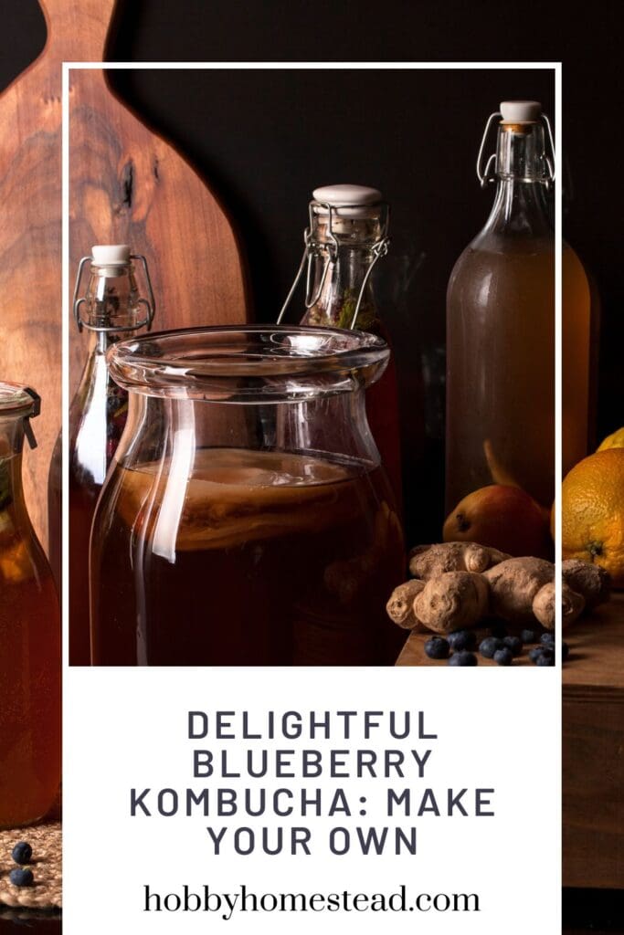 Delightful Blueberry Kombucha Make Your Own