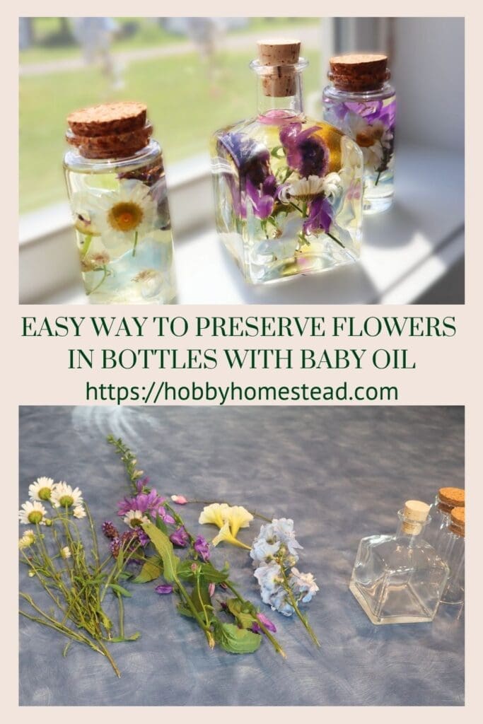 Easy Way to Preserve Flowers in Bottles with Baby Oil