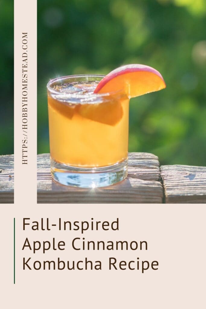 Fall-Inspired Apple Cinnamon Kombucha Recipe