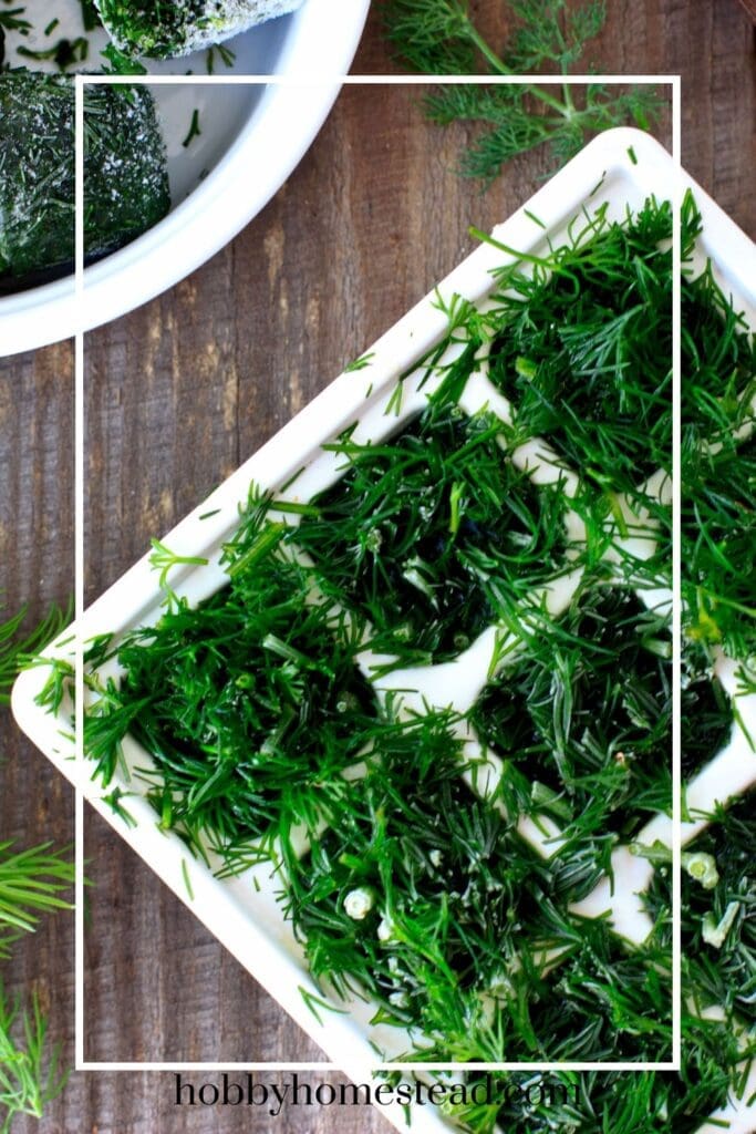 Freezing Fresh Dill in Ice Cubes