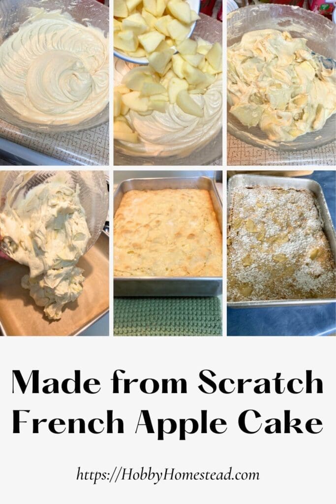 Made from Scratch French Apple Cake