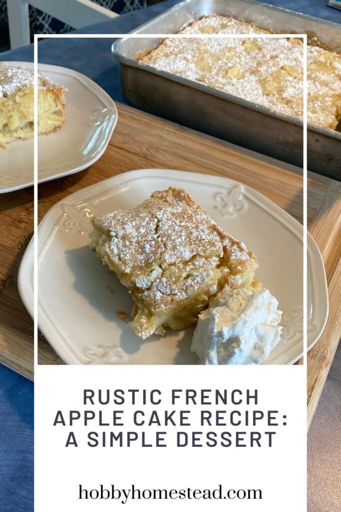 Rustic French Apple Cake Recipe A Simple Dessert