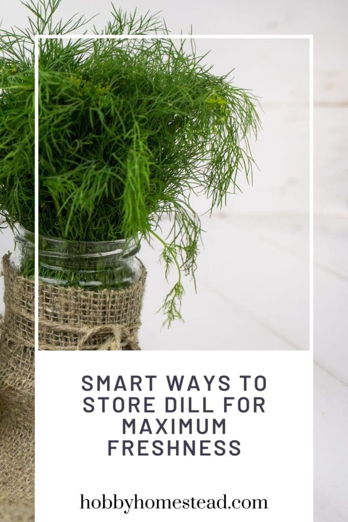 Smart Ways to Store Dill for Maximum Freshness