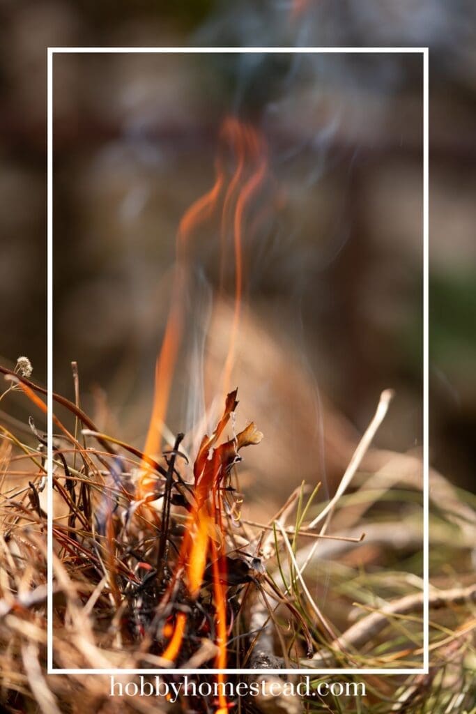 Starting a Campfire using tinder