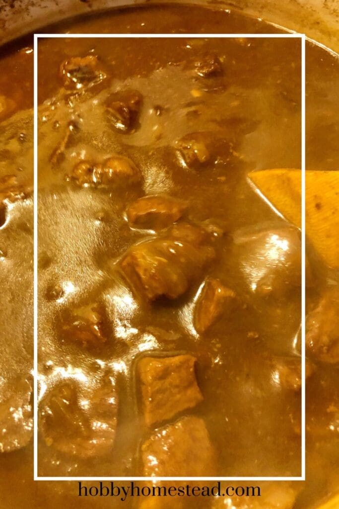 Stirring a Dutch Oven full of beef tips and gravy