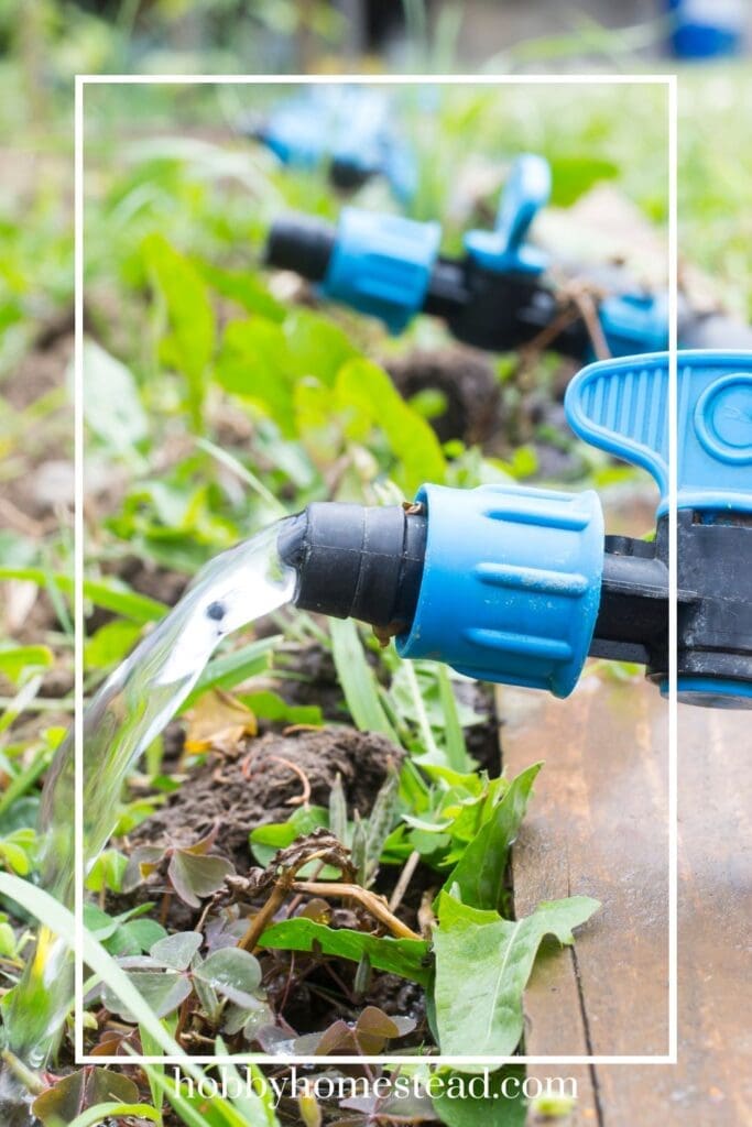 Watering plants