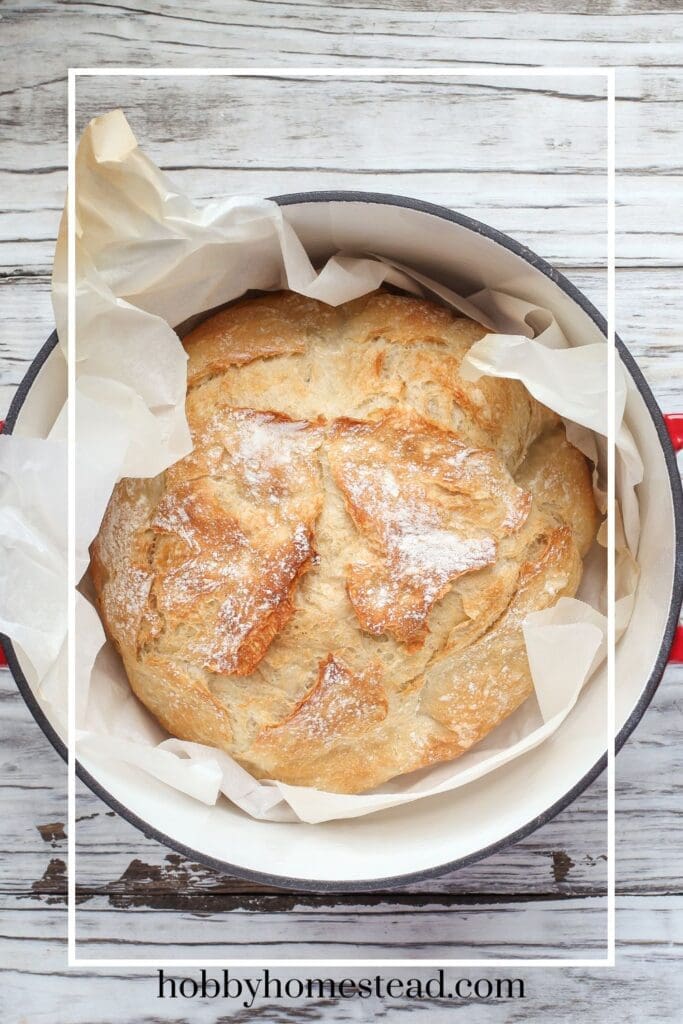 Artisan Sourdough Bread in Dutch Oven