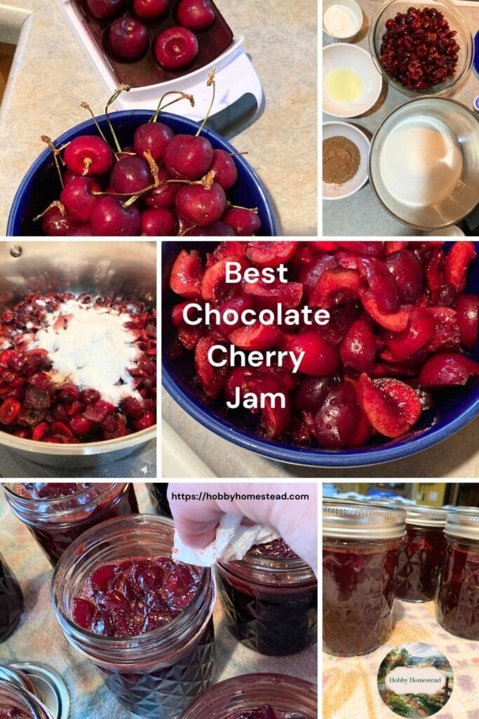 Best Chocolate Cherry Jam