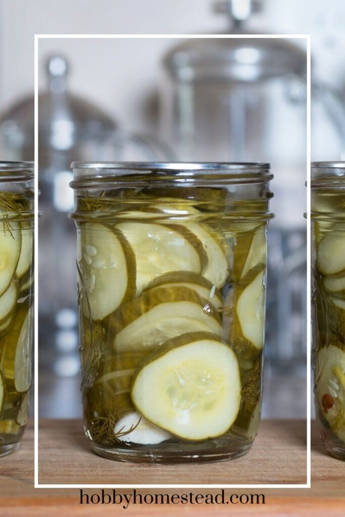 Canning Pickles