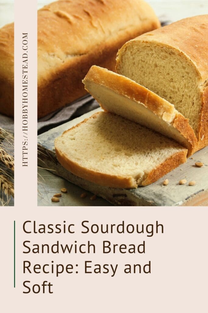 Classic Sourdough Sandwich Bread Recipe Easy and Soft