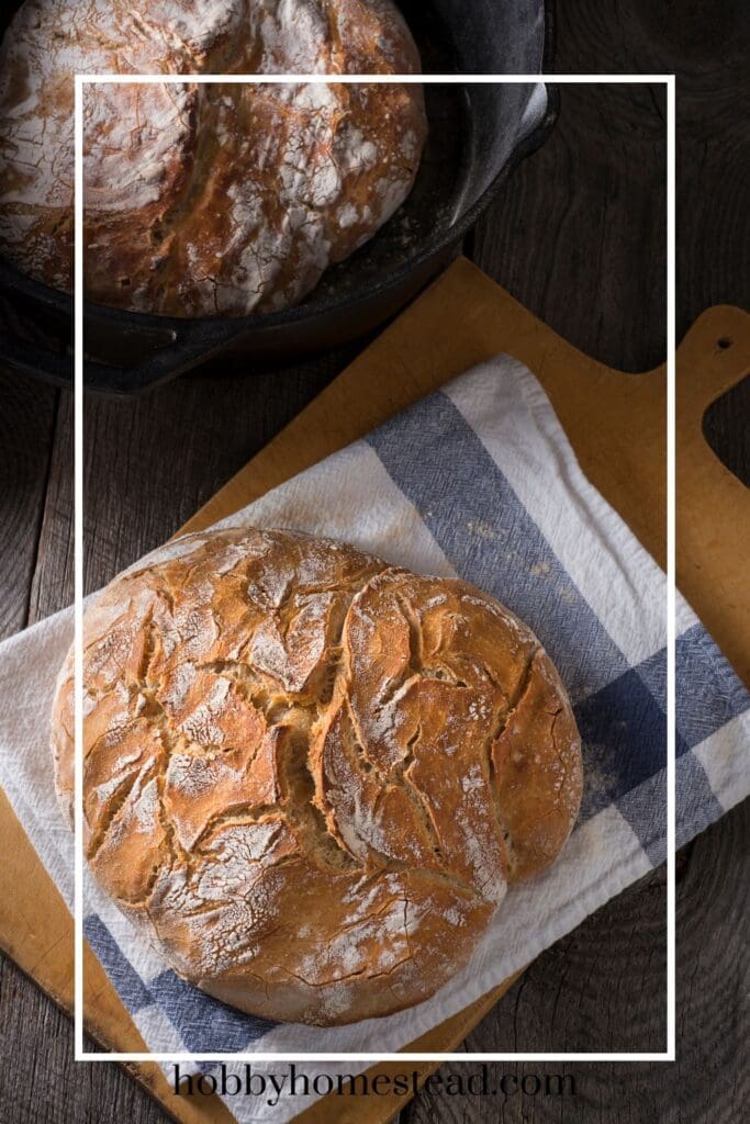 Cooling the No-knead Sourdough Bread