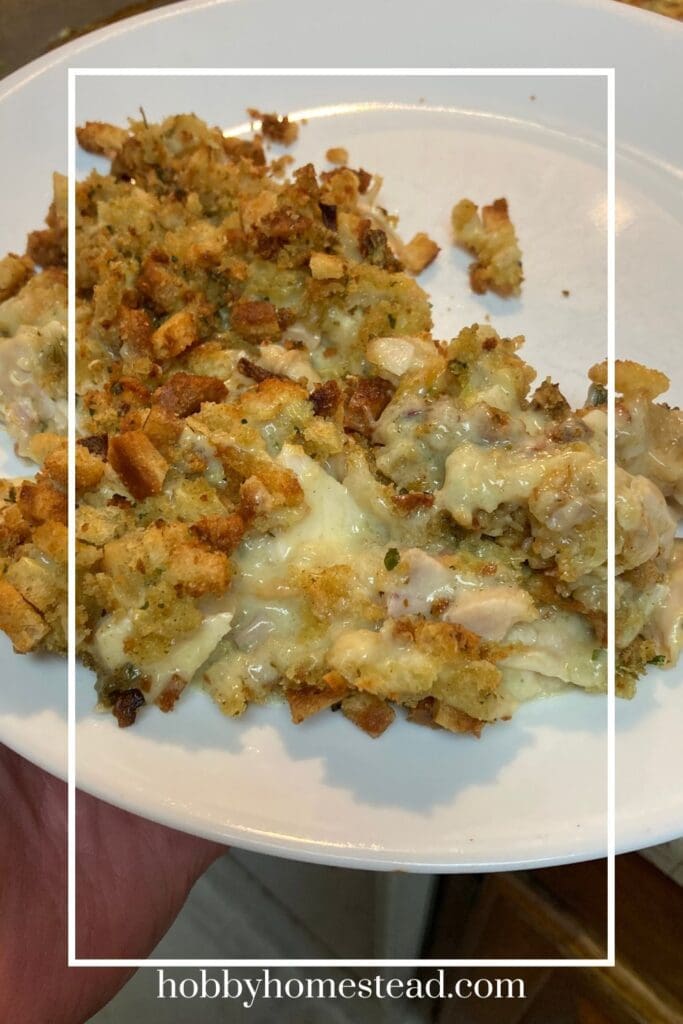 Easy Chicken Casserole Served