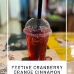 Festive Cranberry Orange Cinnamon Refresher