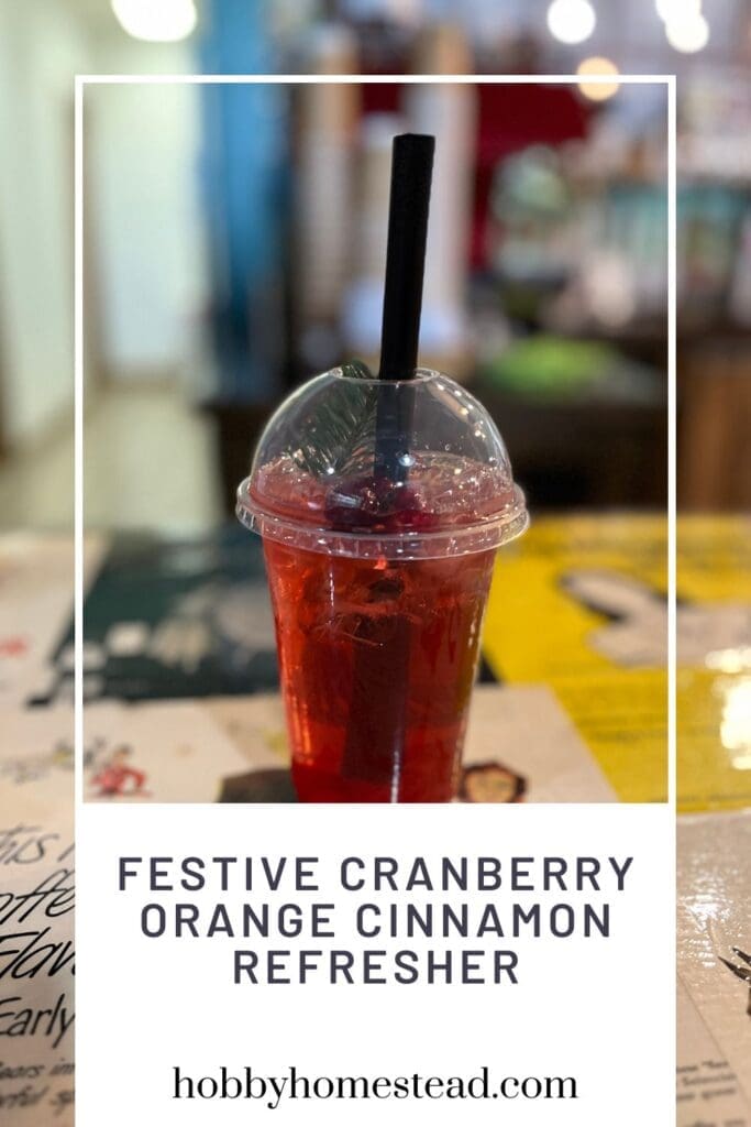 Festive Cranberry Orange Cinnamon Refresher