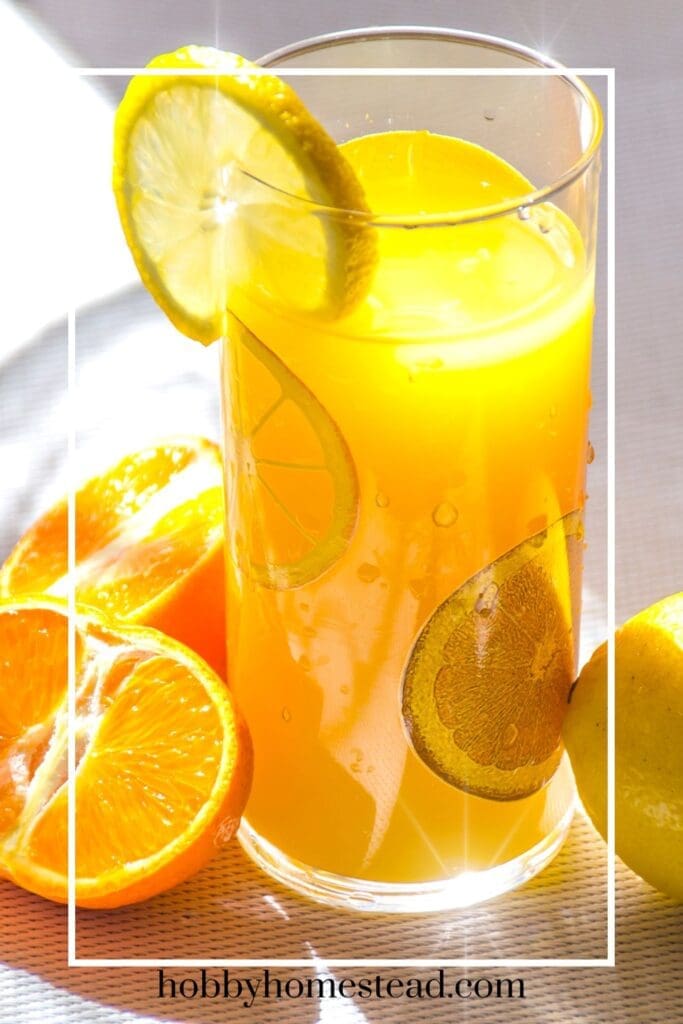 Glass of Homemade Orange Lemonade garnished with citrus slices