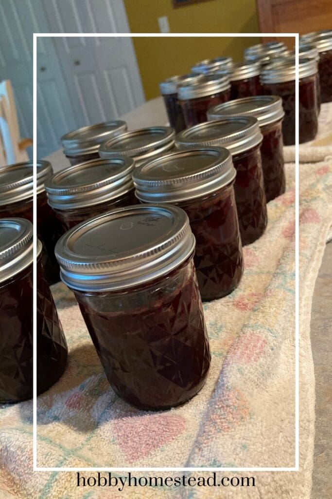 Homemade Cherry Chocolate Jam Cooling