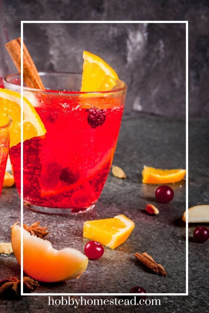 Homemade Cranberry and Orange Beverage