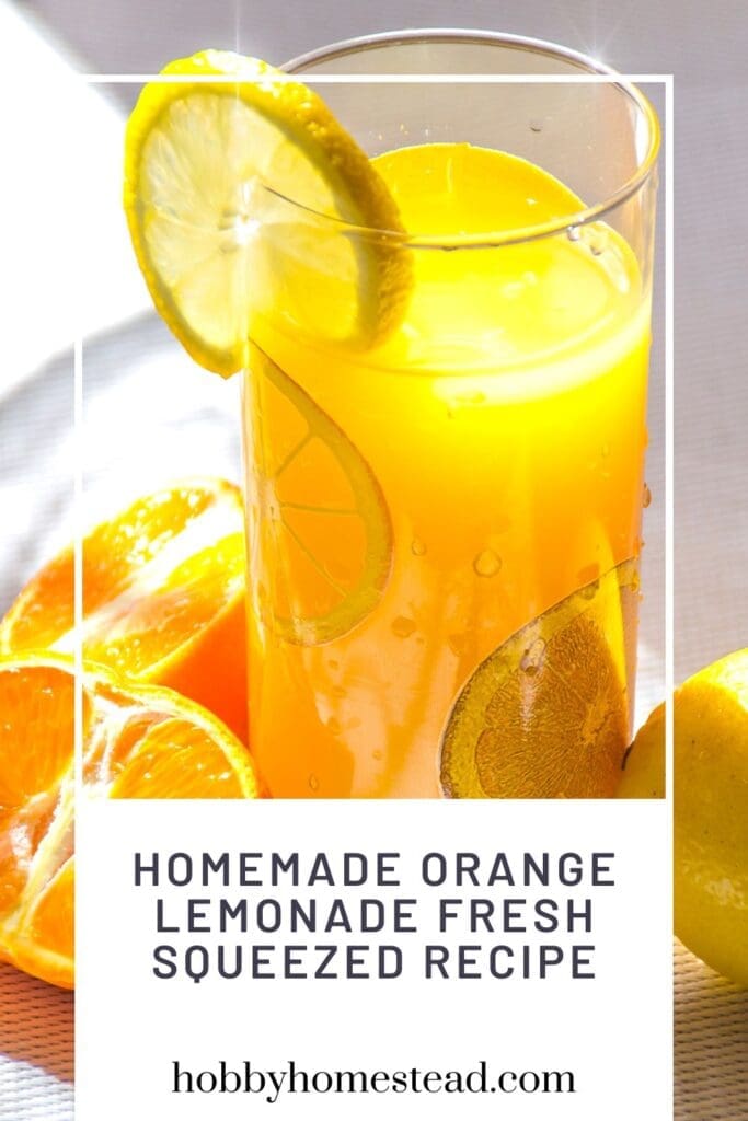 Homemade Orange Lemonade Fresh Squeezed Recipe