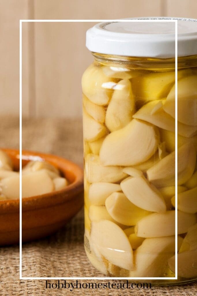 Jar of Homemade Garlic Confit