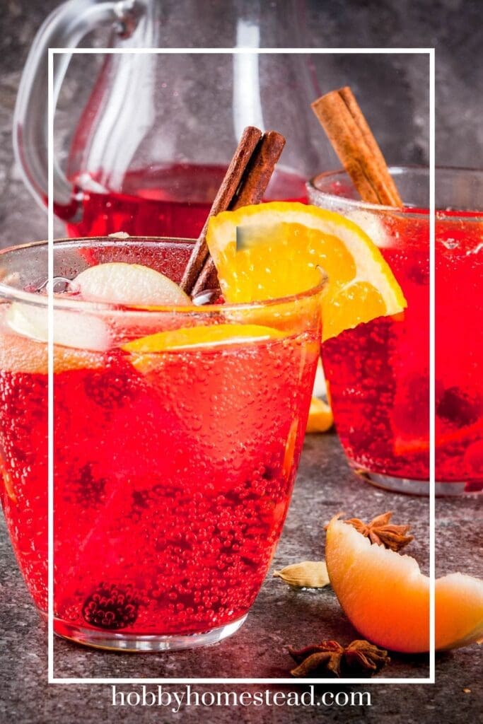 Refreshing Cranberry Orange Drink in Glasses