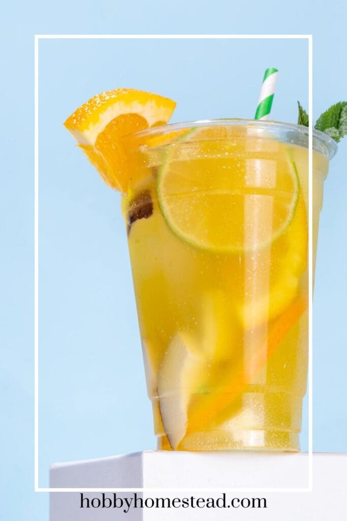 Refreshing Lemonade from Scratch served in glass with slices of citrus