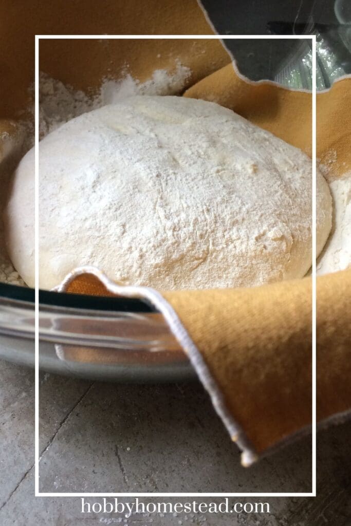 Rising the Sourdough Sandwich Loaf