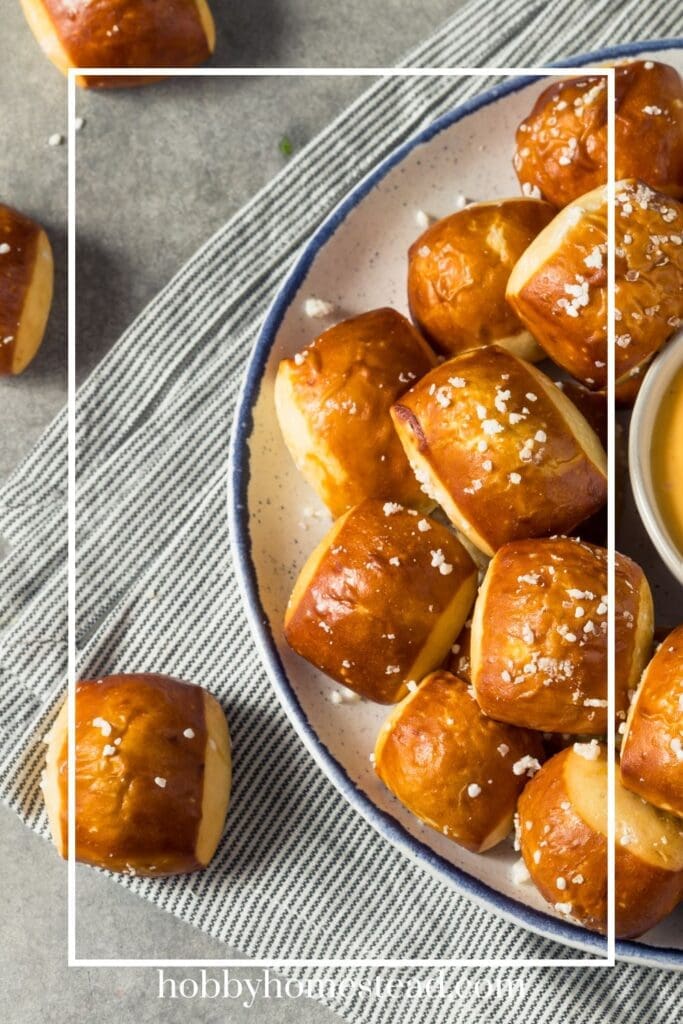 Soft and Buttery Pretzel Bites