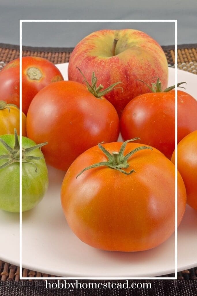 Speeding up the Ripening Process of Tomatoes