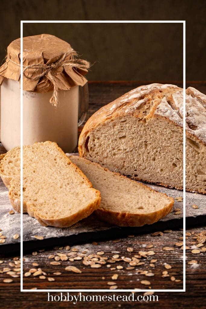 100% whole wheat sourdough bread sliced