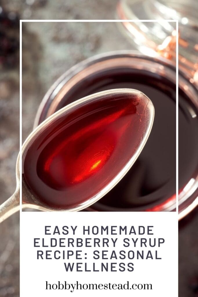 Easy Homemade Elderberry Syrup Recipe Seasonal Wellness
