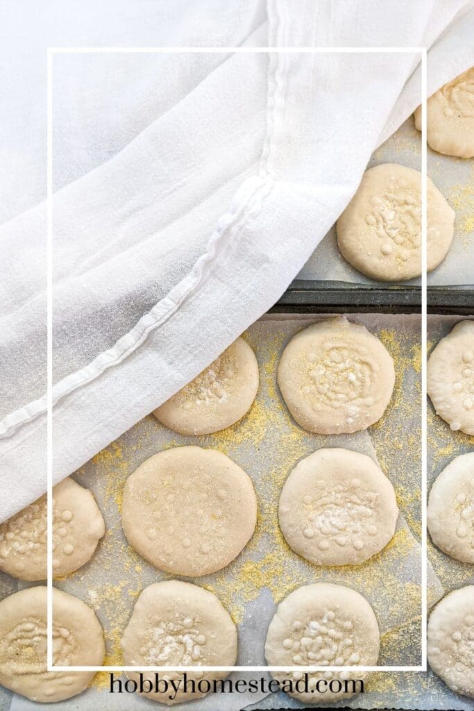 English Muffin Second Rise on Baking Tray