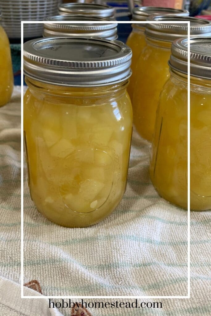 Faux Pineapple Zucchini Canned in Pint Jars