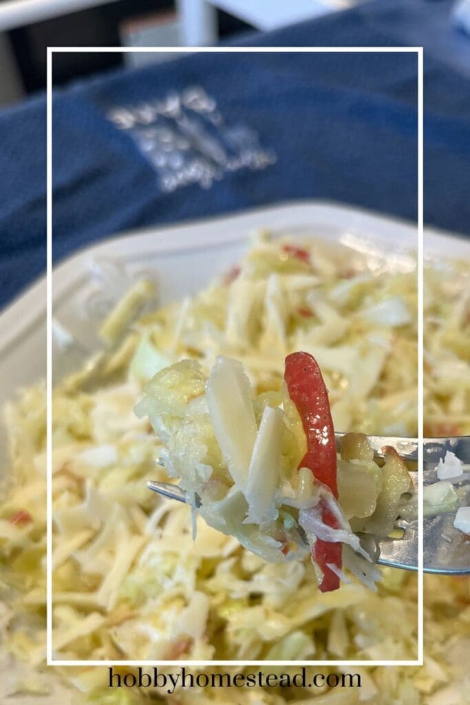 Fork full of Apple Sauerkraut Cabbage Slaw