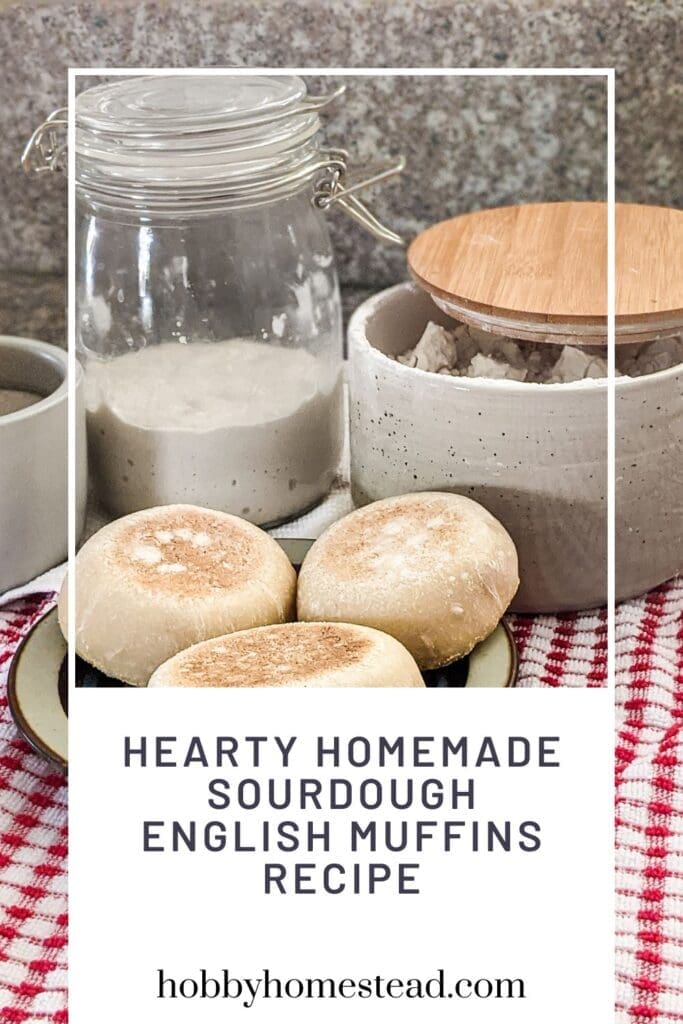 Hearty Homemade Sourdough English Muffins Recipe