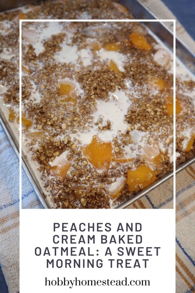 Peaches and Cream Baked Oatmeal A Sweet Morning Treat
