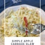 Simple Apple Cabbage Slaw Recipe for Everyday Meals