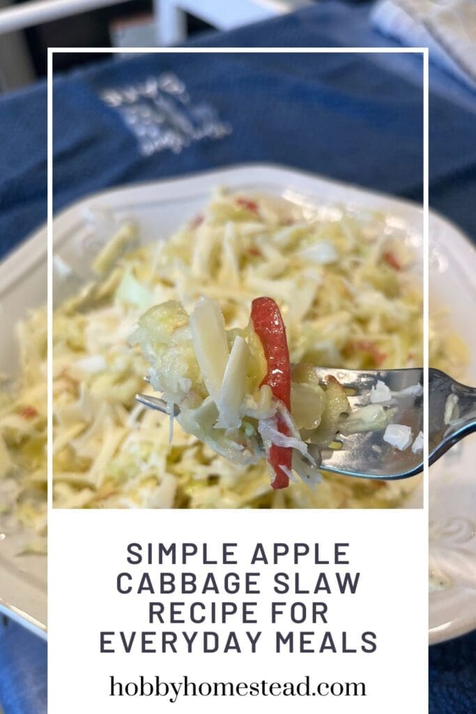 Simple Apple Cabbage Slaw Recipe for Everyday Meals